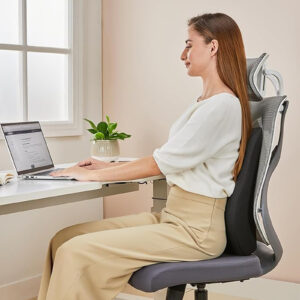 Spine Full Backrest Pillow